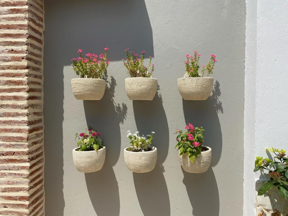 Casa Bixa Hotel Boutique - Mayores De 12 Anos - (Adults Only) Santa Fe de Antioquia Kültér fotó